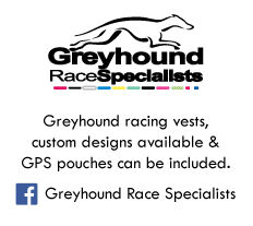 web-greyhounds-latest